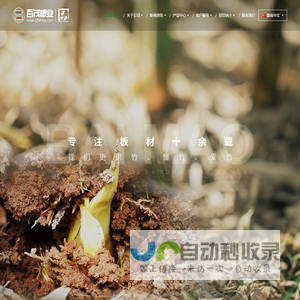 浙江百茂板业有限公司,竹胶板,车箱地板,砖机托板,建筑模板,官方网站-百茂板业,竹胶板,车箱地板,砖机托板,建筑模板,高档桥梁模板,集装箱地板,蒸气养护板