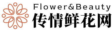 传情鲜花网-